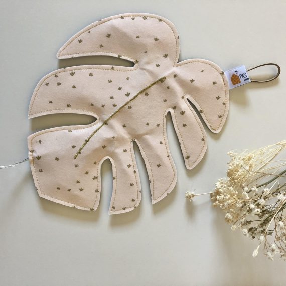 Monstera de dessus 2